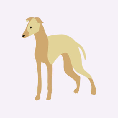 Fawn little hound Design