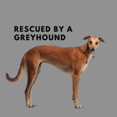 Rescued by a greyhound - fawn  Design