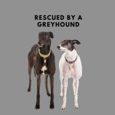 Rescued by a greyhound - buddies Design