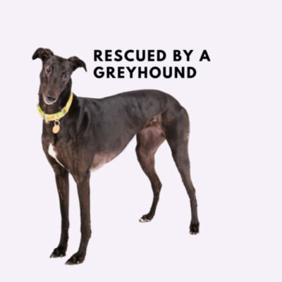 Rescued by a greyhound Design