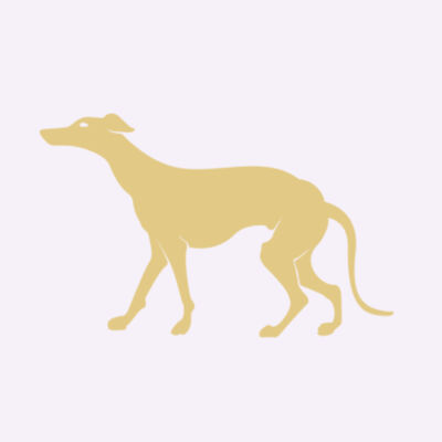 Fawn hound Design