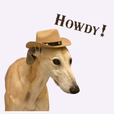 Howdy Hound!! Design