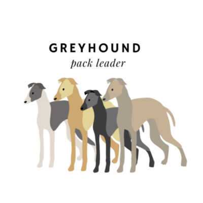 Greyhound pack leader style 1  Design