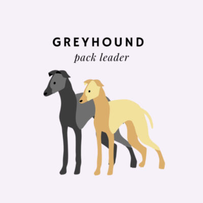 Greyhound pack leader style 4 Design
