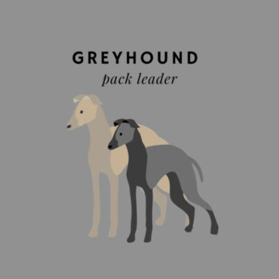 Greyhound pack leader style 5 Design