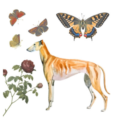 Floral hound profile  Design