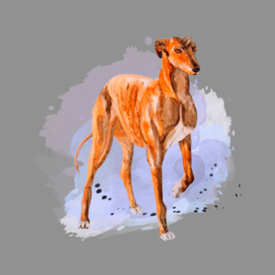 Red fawn watercolour Design