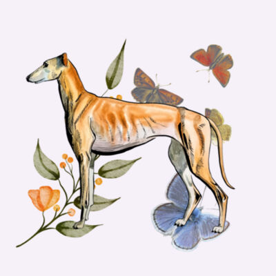 Floral Fawn  Design