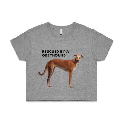 Rescued by a greyhound - fawn  Thumbnail