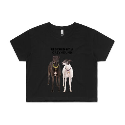 Rescued by a greyhound - buddies Thumbnail